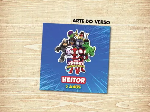 Jogo da Memoria / Spidey / 10 Pares / Organza