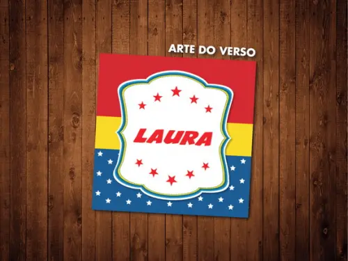 Mulher Maravilha / Jogo da Memória / Organza / 10 Pares