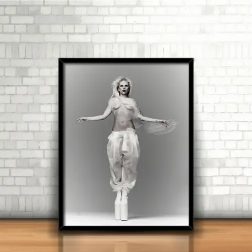 Quadro Lady Gaga