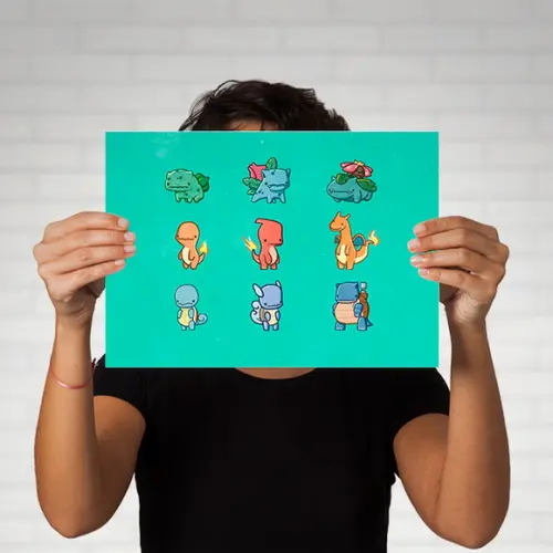 Quadro Pokemon