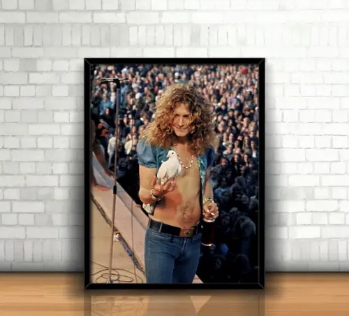 Quadro Robert Plant / Led Zeppelin