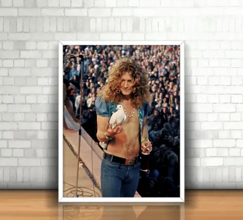 Quadro Robert Plant / Led Zeppelin