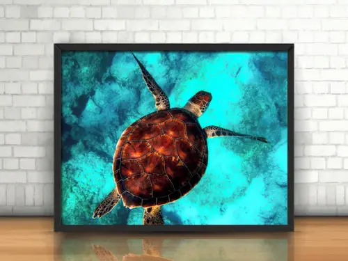 Quadro Tartaruga Marinha