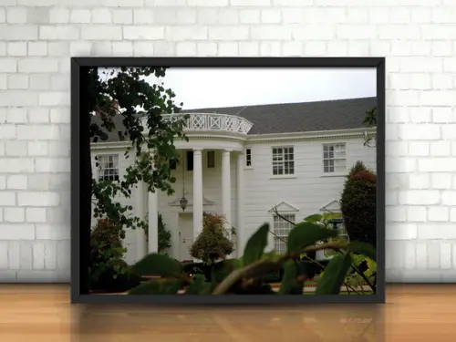 Quadro Um Maluco no Pedaço