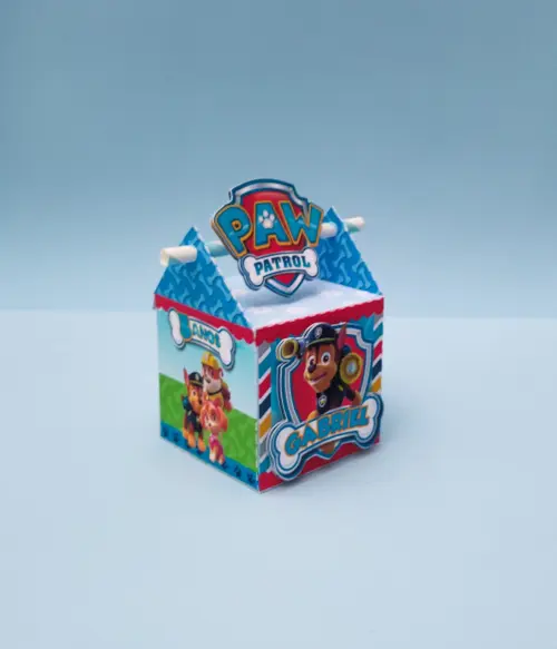 Kit Patrulha Canina Menino Clássico 50 Peças