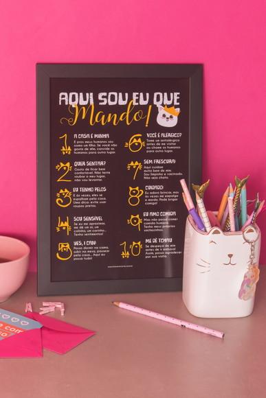Quadro Regra dos Gatos