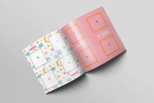 Álbum de Figurinhas Meu 1º Ano