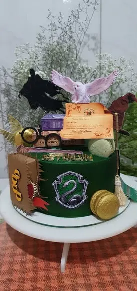 Harry Potter 16