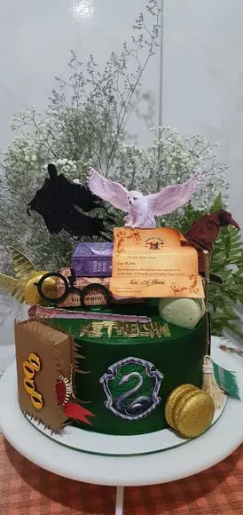 Harry Potter 16