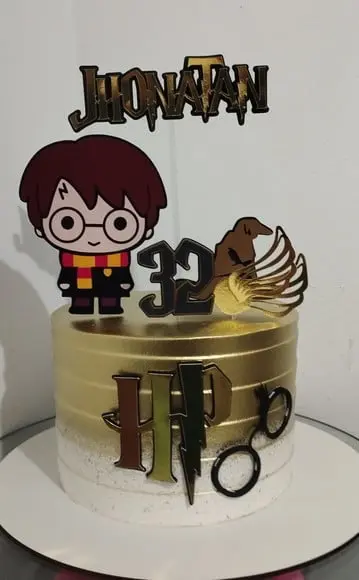 Harry Potter 11