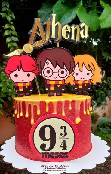 Harry Potter 12