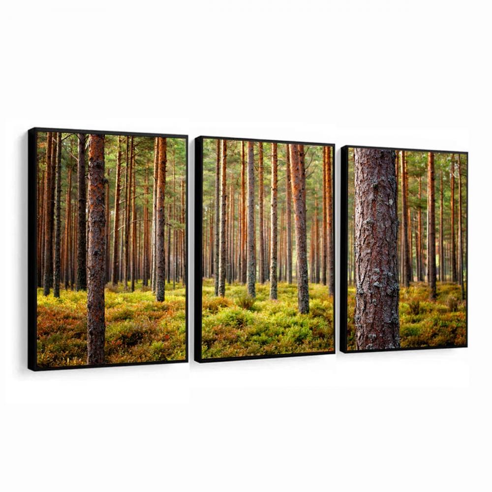 kit 3 quadro decorativo árvores Eucalipto floresta natureza camp