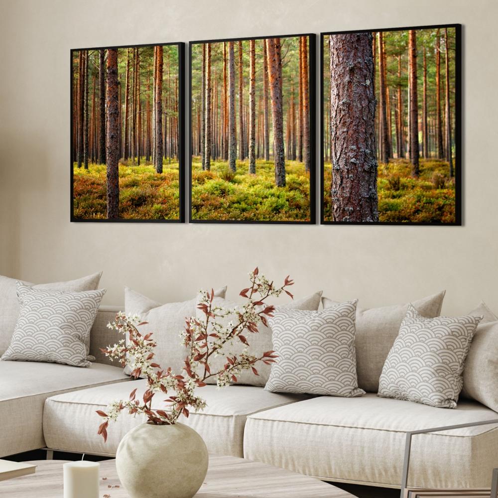 kit 3 quadro decorativo árvores Eucalipto floresta natureza camp
