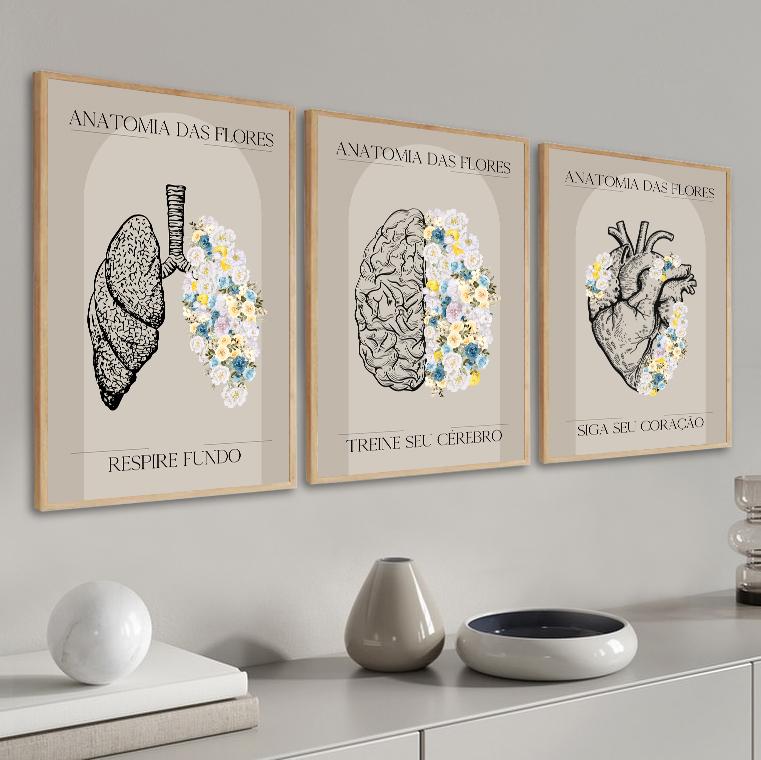 kit 3 quadro decorativo anatomia medicina médicos decor quarto s