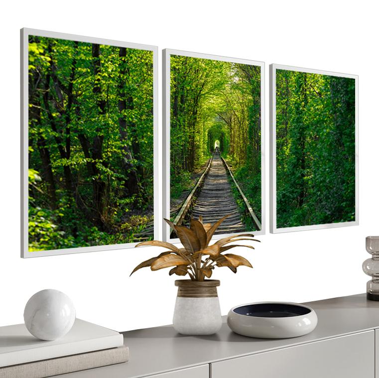 kit 3 quadro decorativo árvores verde floresta natureza bosque s