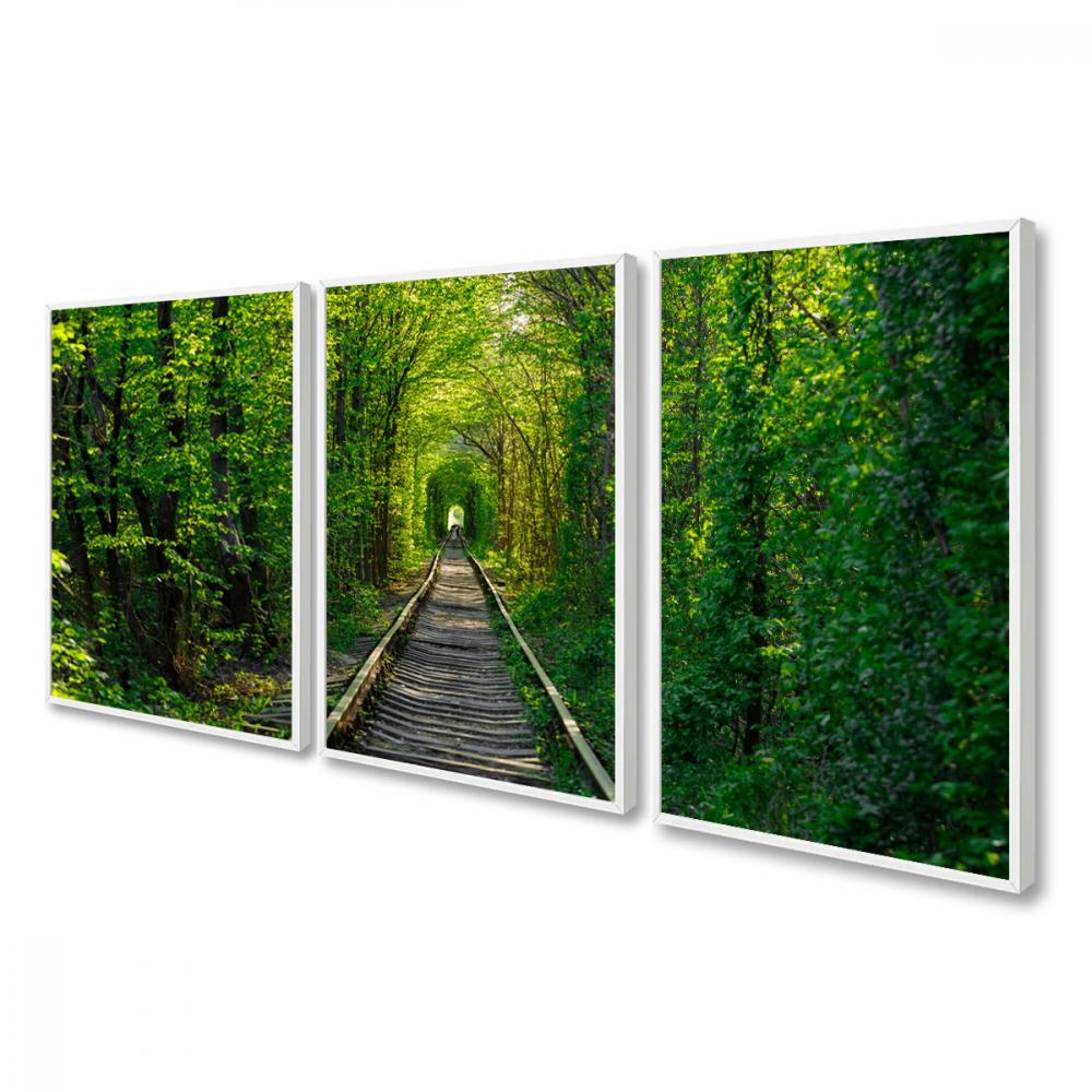 kit 3 quadro decorativo árvores verde floresta natureza bosque s