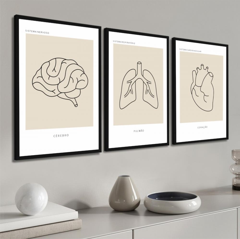 kit 3 quadro decorativo anatomia humana medicina médicos decor q