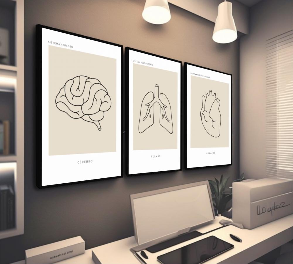 kit 3 quadro decorativo anatomia humana medicina médicos decor q
