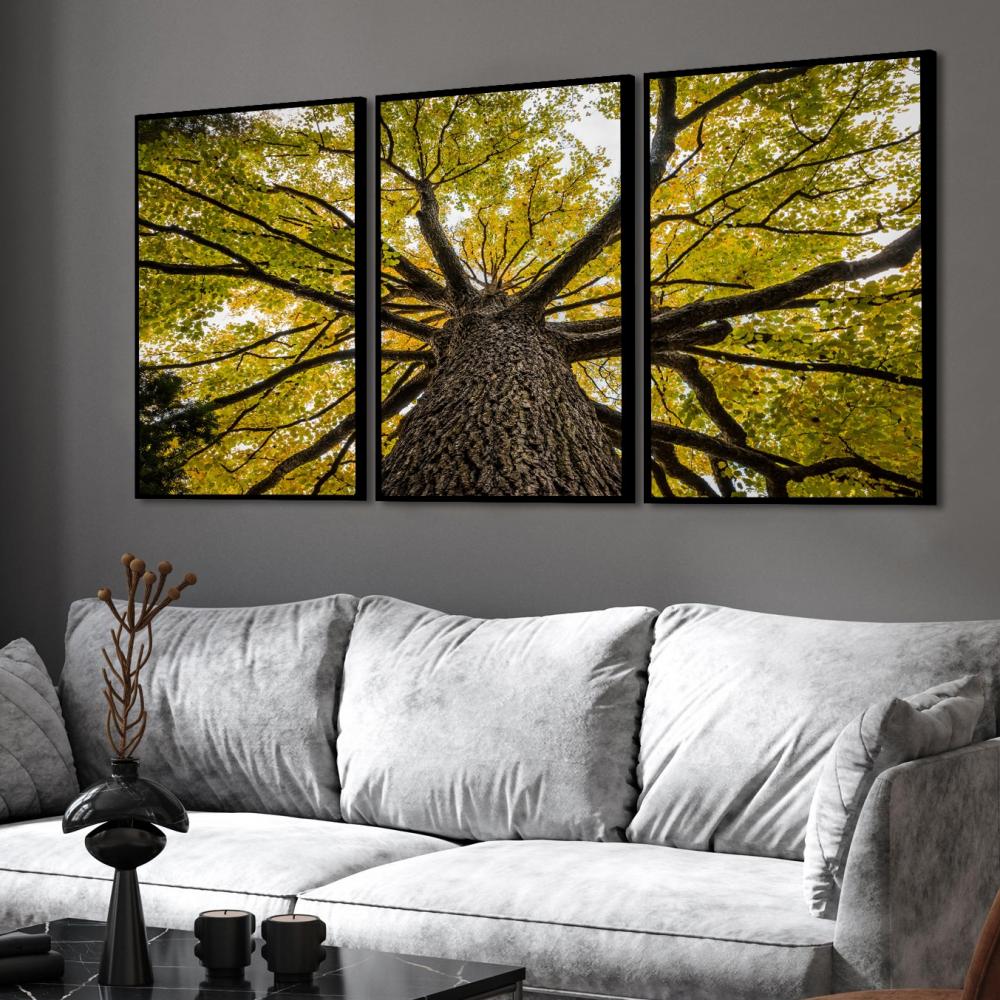 kit 3 quadro decorativo árvore verde galhos natureza campo síti
