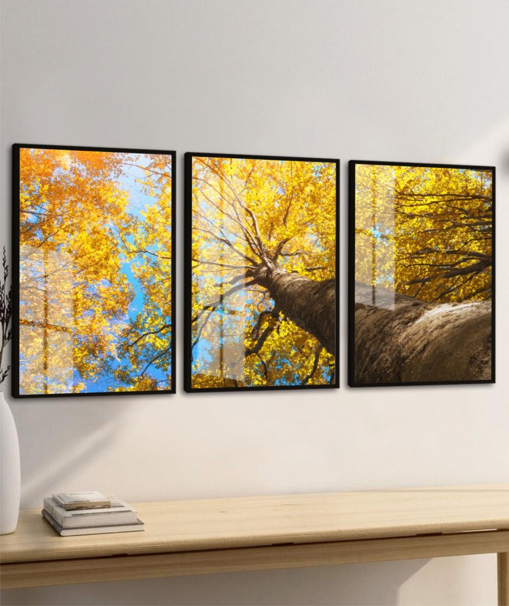 kit 3 quadro decorativo árvore galhos folhagem seca natureza cam