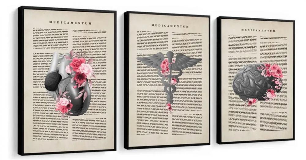 kit 3 quadro decorativo cunsultório de medicina anatomia humana 