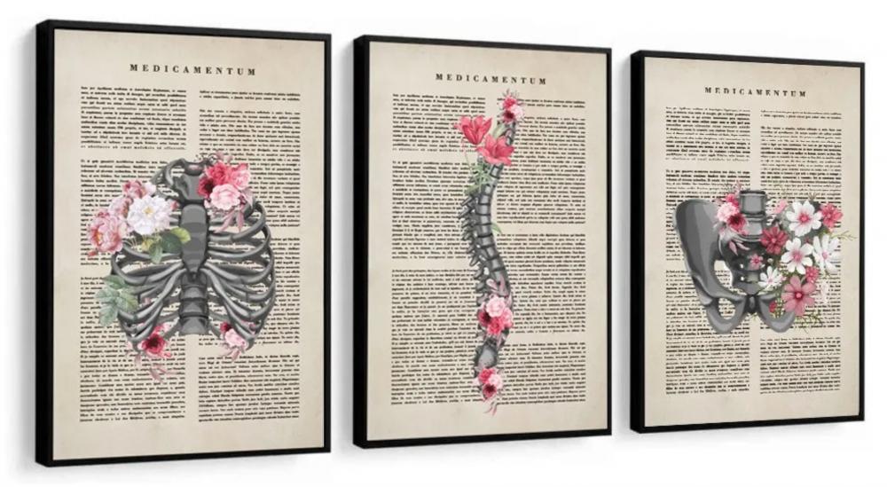 kit 3 quadro decorativo cunsultório de medicina anatomia humana 