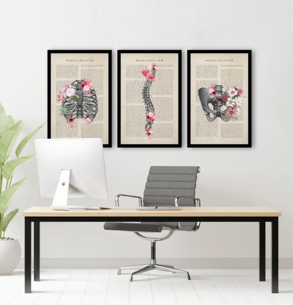 kit 3 quadro decorativo cunsultório de medicina anatomia humana 