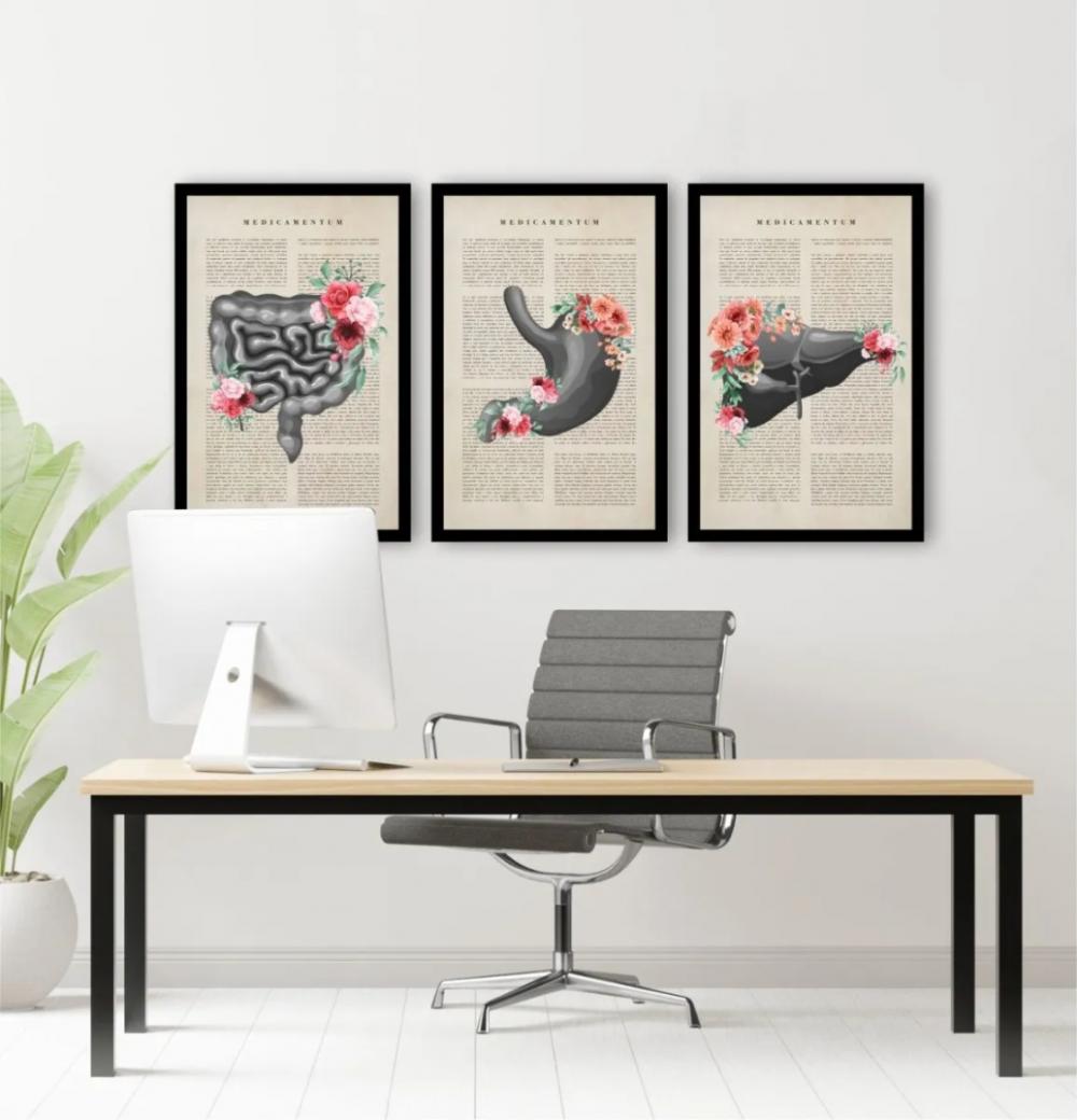 kit 3 quadro decorativo cunsultório de medicina anatomia humana 