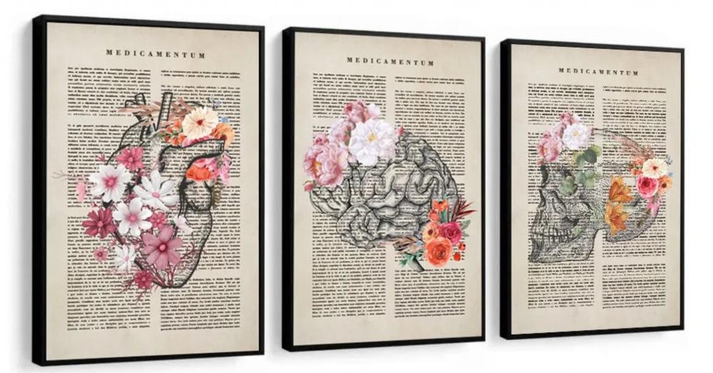 kit 3 quadro decorativo cunsultório de medicina anatomia humana 