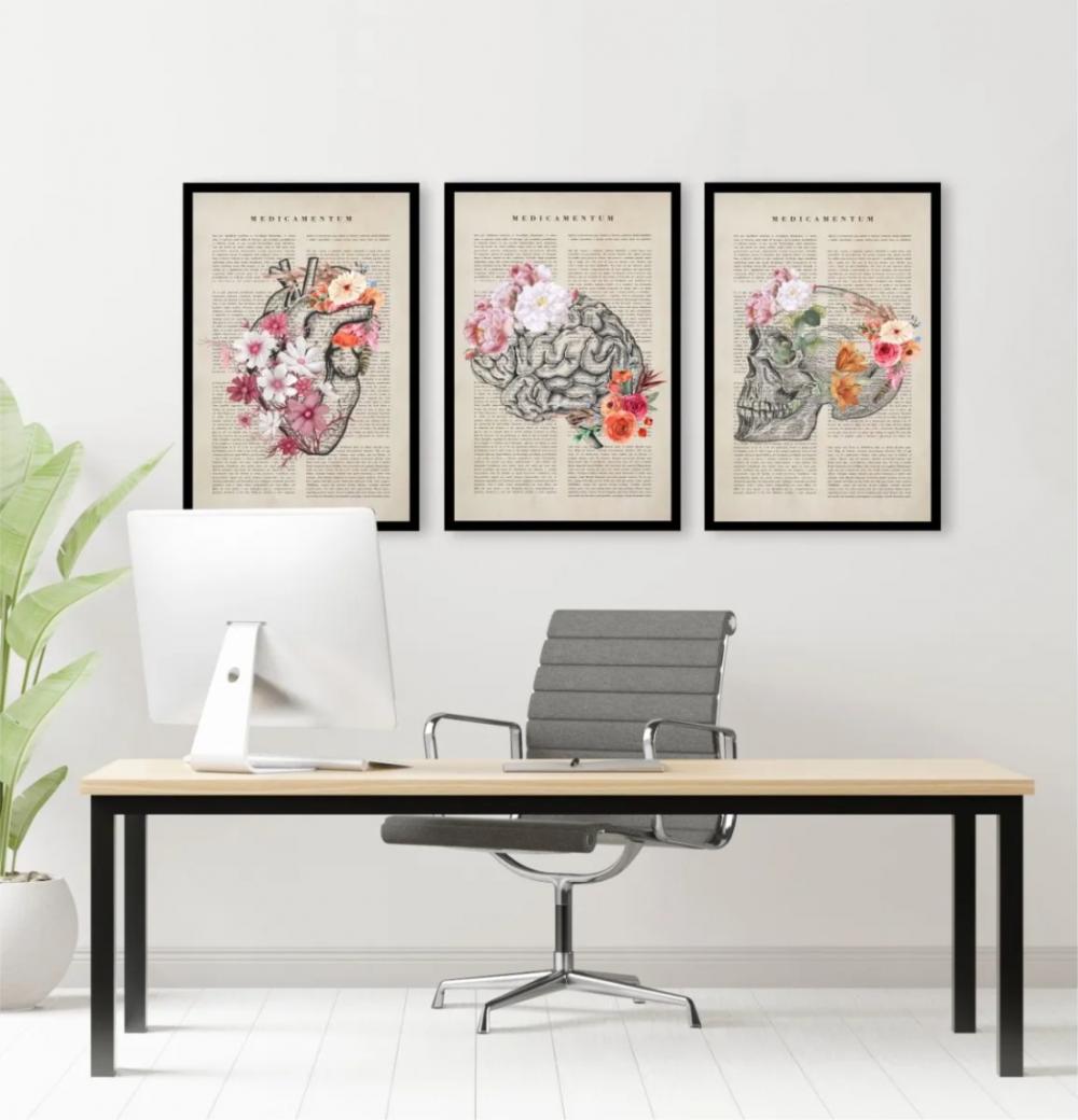 kit 3 quadro decorativo cunsultório de medicina anatomia humana 