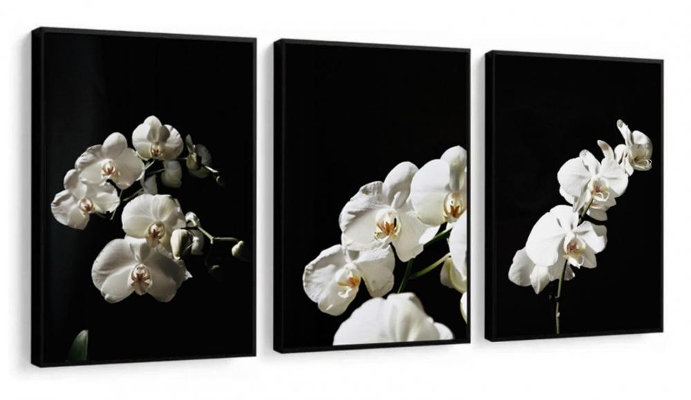 kit 3 quadro decorativo boho flores brancas orquideas sala quarto