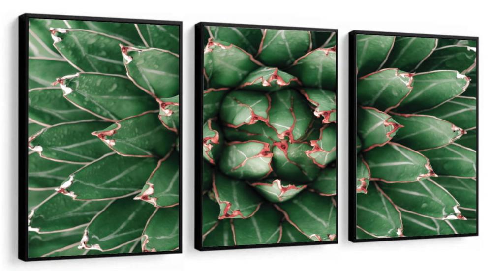 kit 3 quadro decorativo suculentas folhas verdes galhos verdes sa