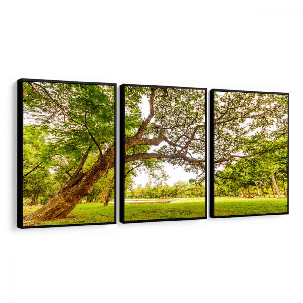 kit 3 quadro decorativo árvores verde campo natureza campo síti