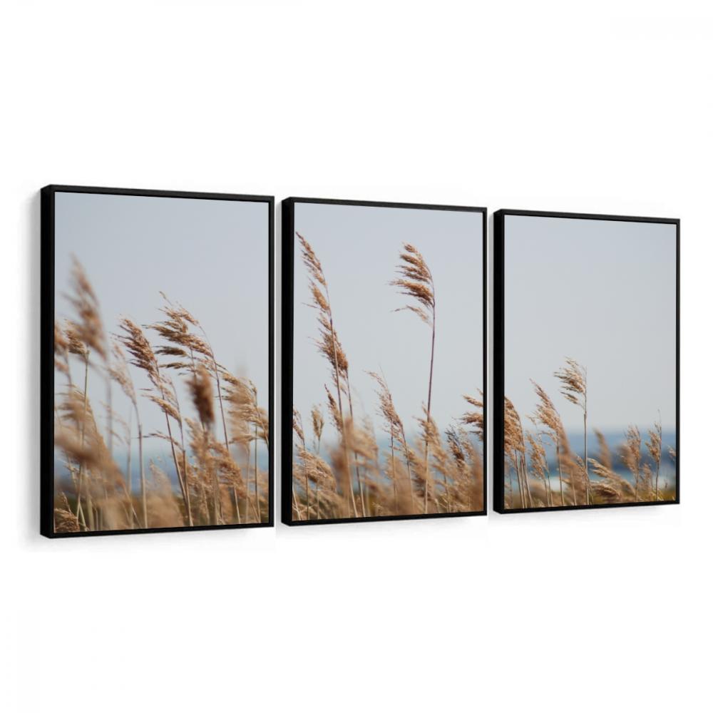 kit 3 quadro decorativo capim dos pampas galhos de trigo boho sal