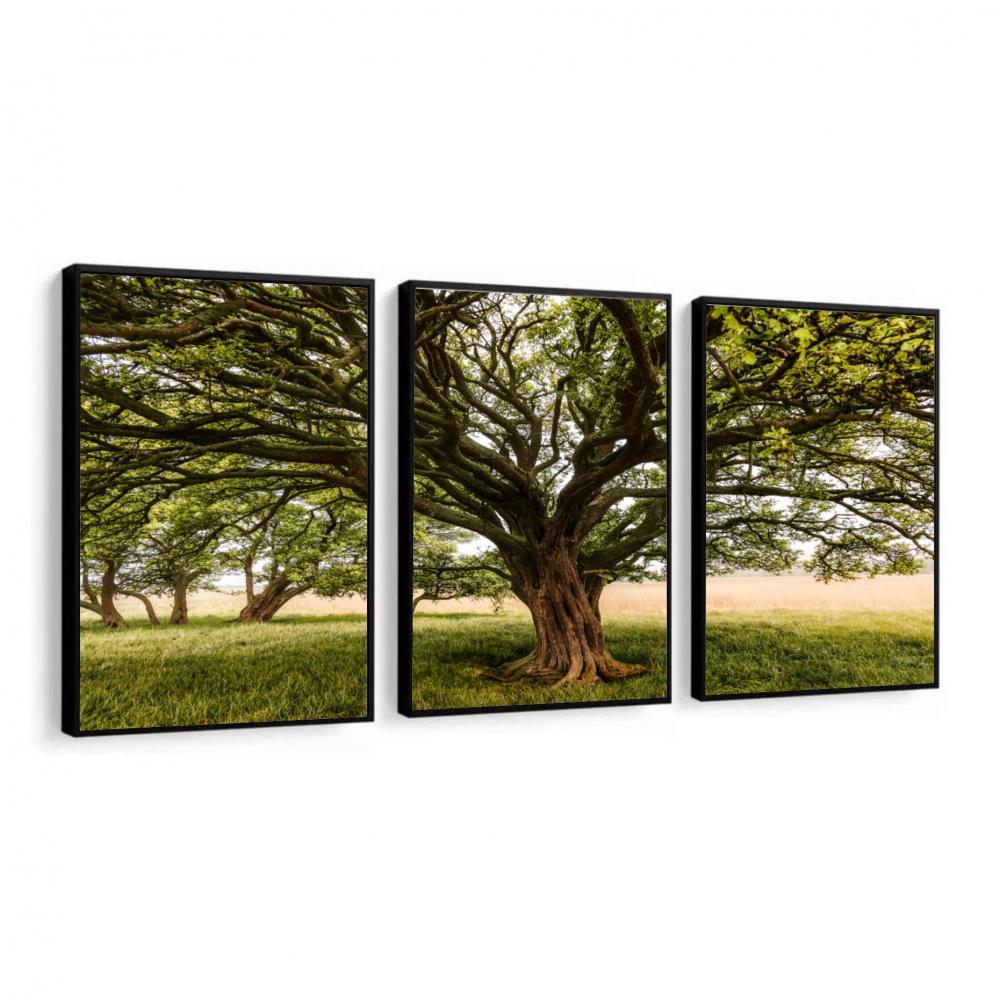 kit 3 quadro decorativo árvores verde campo natureza campo síti