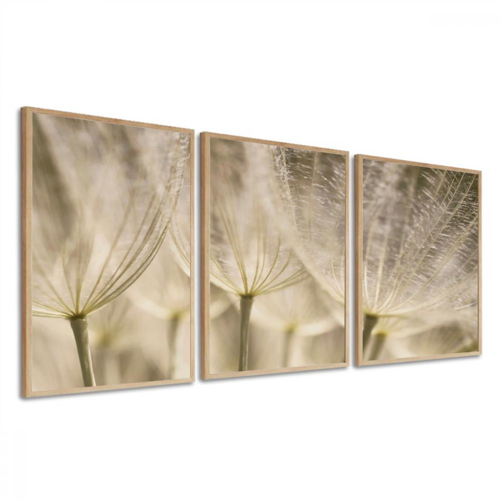 kit 3 quadro decorativo flor dente de leão sala quarto decor pou