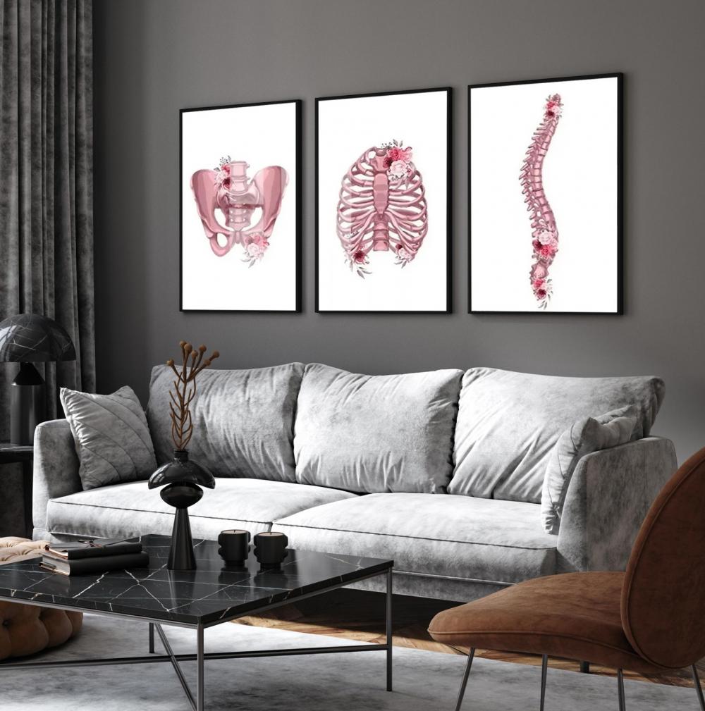 kit 3 quadro decorativo anatomia humana flores medicina médicos 
