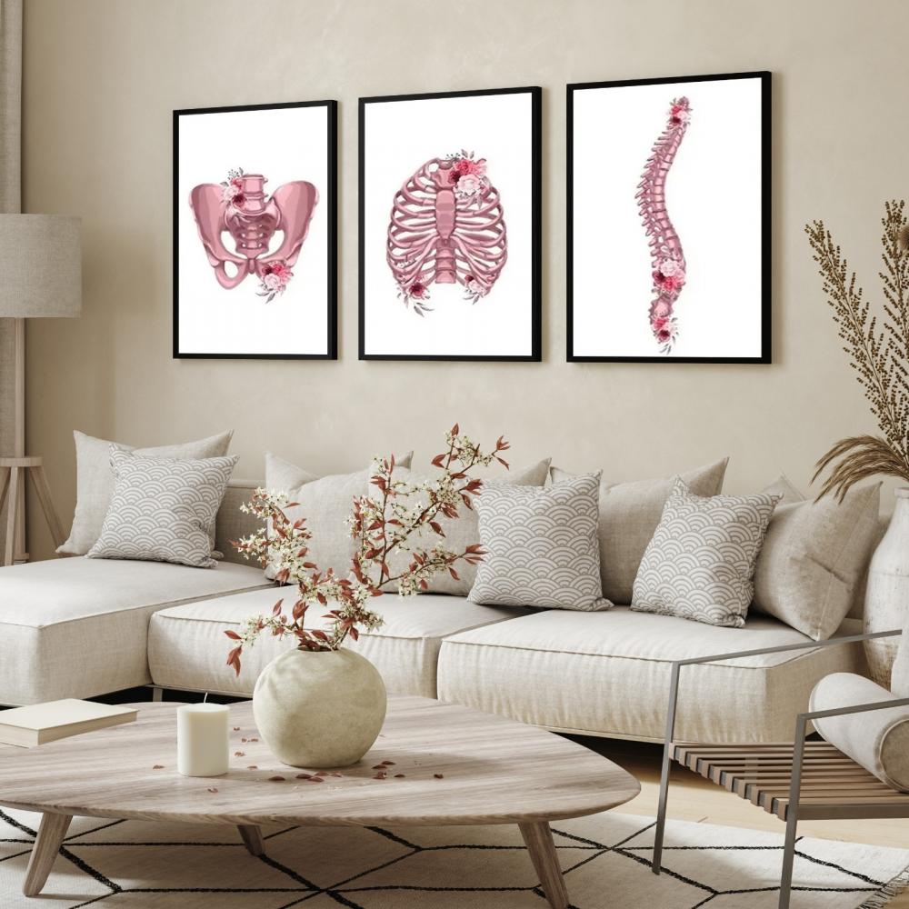 kit 3 quadro decorativo anatomia humana flores medicina médicos 