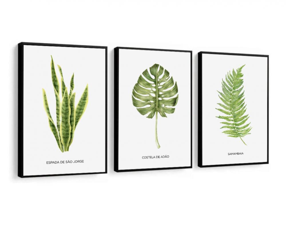 kit 3 quadro decorativo folhas verdes galhos verdes costela de ad