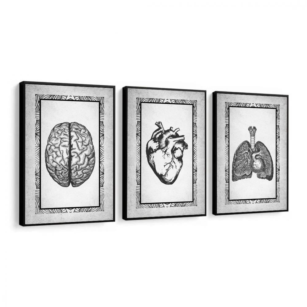 kit 3 quadro decorativo cardiologista cunsultório de medicina an