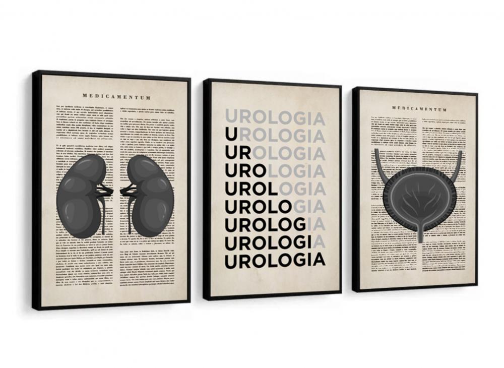 kit 3 quadro decorativo urologia  cunsultório de medicina anatom