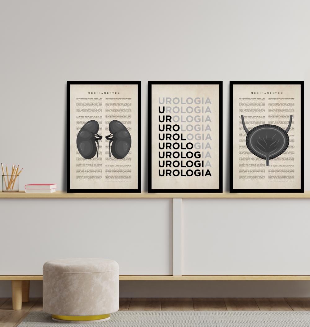 kit 3 quadro decorativo urologia  cunsultório de medicina anatom