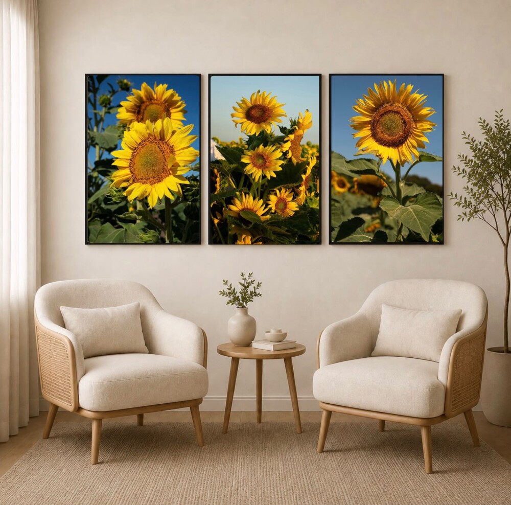 kit 3 Quadro Flores De Girassol Flor Amarela Girassóis Campo sal