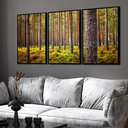 kit 3 quadro decorativo árvores Eucalipto floresta natureza camp