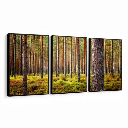 kit 3 quadro decorativo árvores Eucalipto floresta natureza campo sítio fazenda casa decor quarto sala com molduras