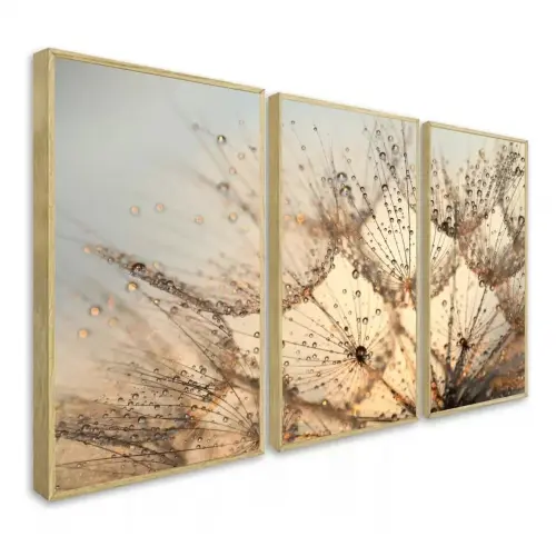 kit 3 quadro decorativo flor dente de leão sala quarto decor pou
