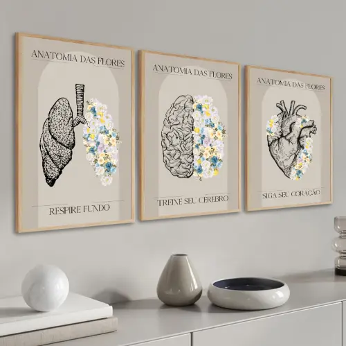 kit 3 quadro decorativo anatomia medicina médicos decor quarto sala com molduras