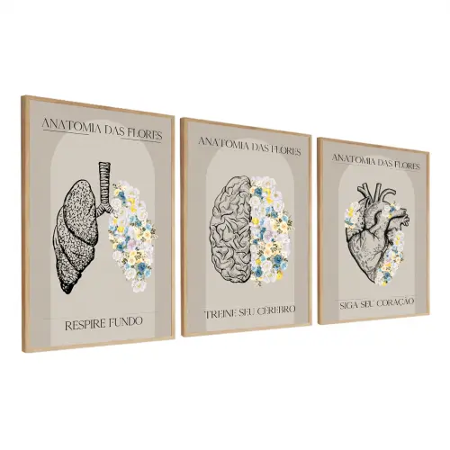 kit 3 quadro decorativo anatomia medicina médicos decor quarto s