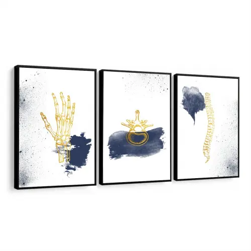 kit 3 quadro decorativo ortopedia consultório de ortopedista oss