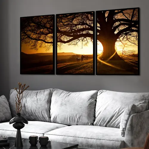 kit 3 quadro decorativo entardecer árvore natureza bosque sítio